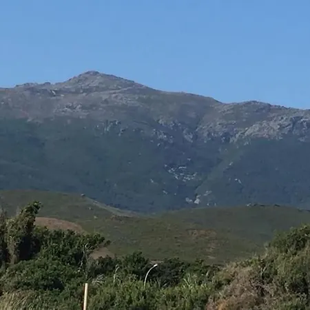 Jolie A Erbalunga- A Deux Pas De La